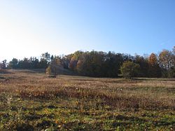 A plain field in Plainfield, Massachusetts