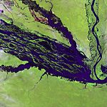 Satellite image of a wide river and smaller meandering tributaries running through a light green landscape