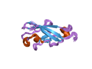 1wuz: Structure of EC1 domain of CNR