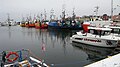 Ustka, zimowy port