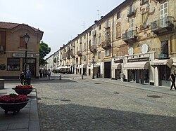 Skyline of Venaria Reale