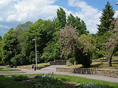 В парке Шевченко