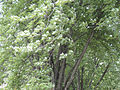 Grimes Farm Nature Center, Marshalltown, Iowa