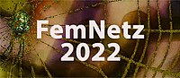 Das Banner für das Netzwerktreffen FemNetz 2022 ist eine Collage aus einem Foto, das einen Ausschnitt eines Spinnennetzes mit einer Spinne darin zeigt. Die Farben des Fotos sind verändert und in gold-braun gehalten. Auf dem Banner steht der Text "FemNetz 2022".