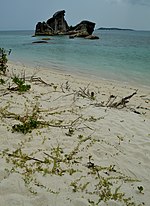 Thumbnail for File:Batuan Granit Burung Garuda di pinggir pantai Belitong.jpg