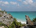 Un ejemplar en Tulum, Quintana Roo, México