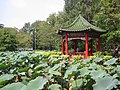Los pabellones de estilo chino en los jardines botánicos tienen una estructura hexagonal.