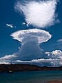 Cumulonimbus capillatus incus