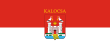 Vlag van Kalocsa