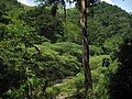 Montanas de la Sierra de Agalta, Olancho, Honduras Tèmor