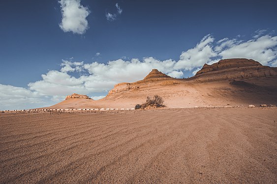 The Deserted Path / by User:Harby6020