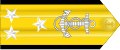 Naramiennik stopnia Vice Admiral (US Navy).