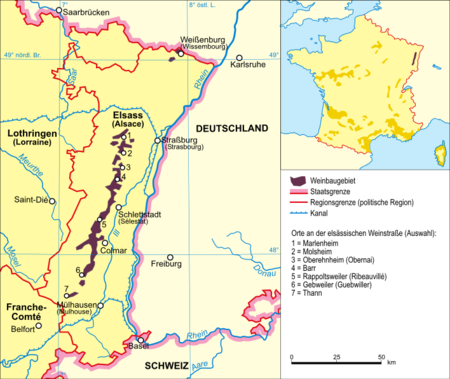 Das Weinanbaugebiet Elsass. Heiligenstein befindet sich in der Nähe der Gemeinde Barr