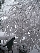 Winter Patio Hancock village Brookline Town Massachusetts New England.jpg