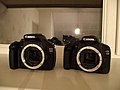 Canon EOS 1100D and Canon EOS 550D