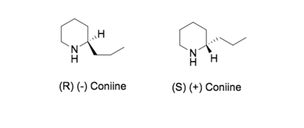 Coniine enantiomers.png