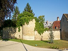 Vue d'un mur et d'une tour pris dans la végétation.