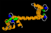 Calmodulin