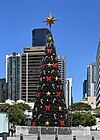 Рождественская ёлка в Австралии