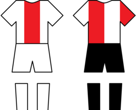 De thuiskleuren van beide clubs.