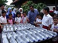 Image 14Solar water disinfection in Indonesia (from Solar energy)