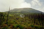 A picture of a mountain landscape with trunks of trees or shrubs that appear to have burned.