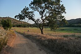 Valley Center – Veduta