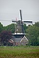 molen de Wachter Zuidlaren