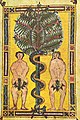 Adán e Eva, despois do pecado orixinal (miniatura do Beato de El Escorial)
