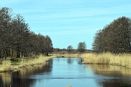 Boat On Black River - panoramio.jpg