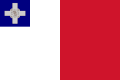 Bandeira não oficial (1943-1964)