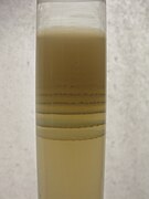 Liesegang rings of Magnesium hydroxide in Agar gel.jpg