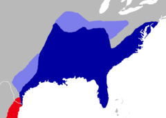 Atualmente (azul) e (azul claro), a distribuição no leste dos Estados unidos. Uma pequena população da espécie se encontra na área vermelha