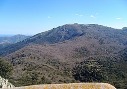 Côté nord : le puig depuis la tour de la Massane. La vallée située immédiatement en dessous de la tour est celle de la Massane. Au loin, à gauche : Querroig.