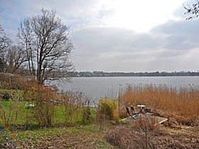 Schmalensee