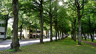 An esplanade along Storagatan.