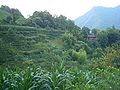 A small farmstead on the hill slopes just outside the town