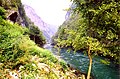 18.7.09 Vrbas-Fluss