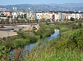 Bluff Creek and the Playa Vista development