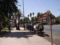 Caleches in Marrakech (2844985777).jpg