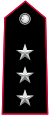 Distintivo per controspallina di capitano dell'Arma dei Carabinieri
