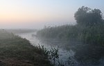 Thumbnail for File:Desna river Vinn meadow 2019 G01.jpg