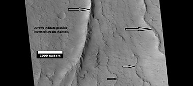 Possible inverted stream channels in Phlegra Dorsa region, as seen by HiRISE under HiWish program. The ridges were probably once stream valleys that have become full of sediment and cemented, so they became hardened against erosion which removed surrounding material.