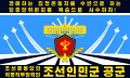 Korean People's Army Air and Anti-Air Force (Reverse)