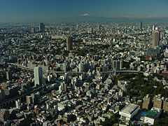 De Fuji gezien vanaf de Tokyo Tower