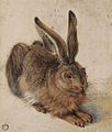 Hans Hofmann, Hare label QS:Len,"Hare" label QS:Lpl,"Zając" label QS:Lde,"Hase" 1582