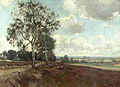 Heidelandschap door Jan van Vuuren (1871-1941)