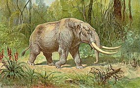 Mammut (mastodonte)