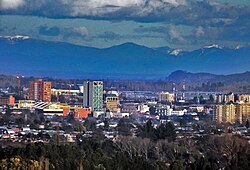 View of Los Ángeles from the Cerro Curamávida.