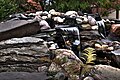 Waterfall in rock garden on Edmonton campus of the University of Alberta